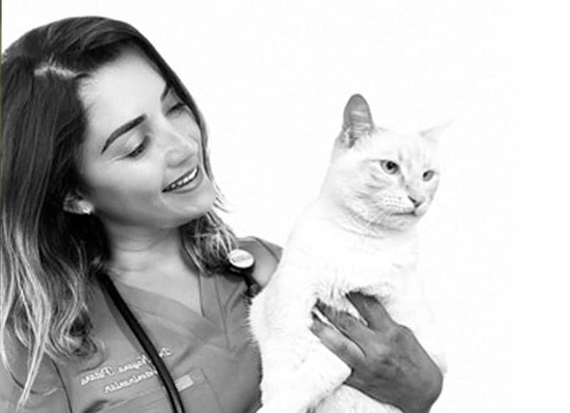 cat-veterinarian_s3 Cat Veterinarian in Lake forest CA cat vet clinic feline veterinarian hospital cat friendly vet clinic