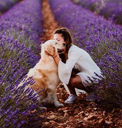 vet veterinarian near Stonegate Irvine, CA veterinary near me pet hospital vet clinic animal hospital