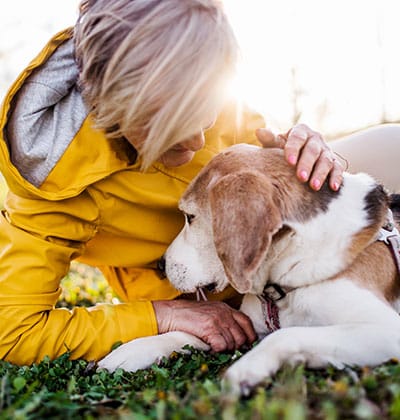 Affordable Vet Clinic in Rancho Santa Margarita, CA. affordable veterinarian