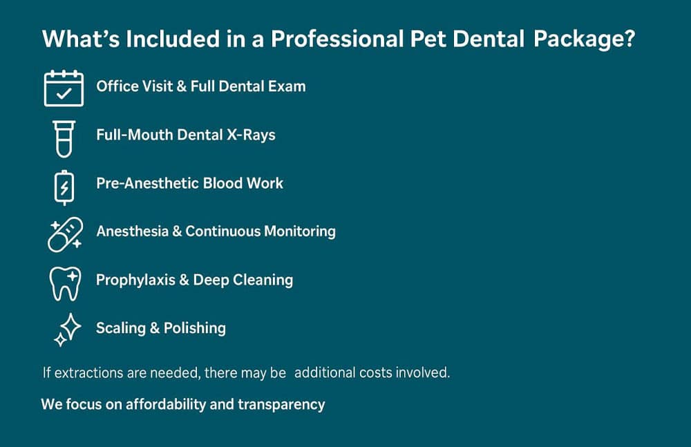 Infographic titled “What’s Included in a Professional Pet Dental Package?” listing six veterinary dental services with icons: Office Visit & Full Dental Exam, Full-Mouth Dental X-Rays, Pre-Anesthetic Blood Work, Anesthesia & Continuous Monitoring, Prophylaxis & Deep Cleaning, and Scaling & Polishing. A note at the bottom states that extractions may involve additional costs and emphasizes affordability and transparency.