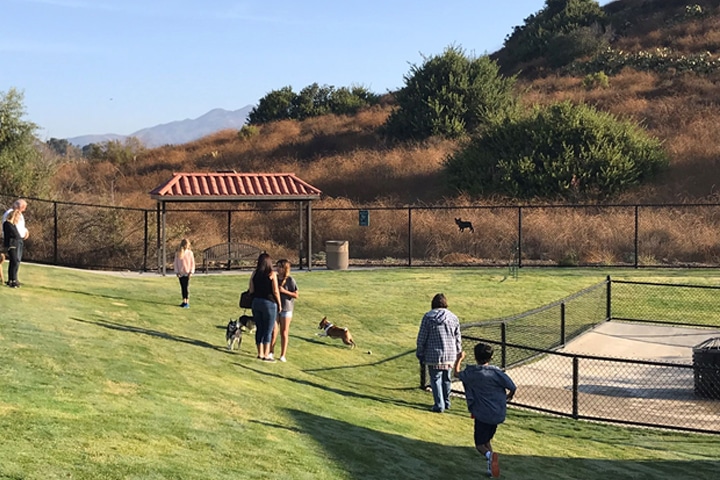 Canada Vista Dog Park Rancho Santa Margarita