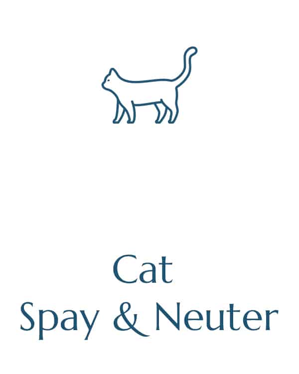 pet hospital vet clinic veterinarian near me veterinary vet near me animal hospital