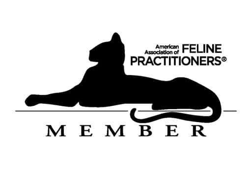 Cat vet near Irvine, CA cat veterinarian clinic feline veterinarian hospital cat friendly vet clinic