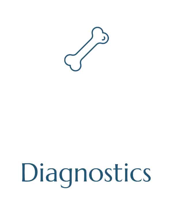 A minimalist illustration shows a stylized bone icon centered at the top of the image. The word "Diagnostics" is written in large, blue text at the bottom of the image. The overall design is simple and clean, evoking a sense of trust fit for any veterinarian's practice.