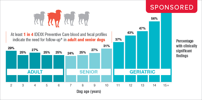 Bar graph showing percentage of dogs with clinically significant blood or fecal test findings by age group. Adult dogs (ages 2–6) average around 25–29%, senior dogs (ages 7–10) range from 24–31%, and geriatric dogs (ages 11–15+) show increasing rates from 37% to 64%.