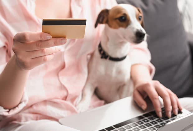 A person in pink pajamas holding a credit card and using a laptop, searching for an affordable vet clinic, with a small brown and white dog sitting beside them on the couch.