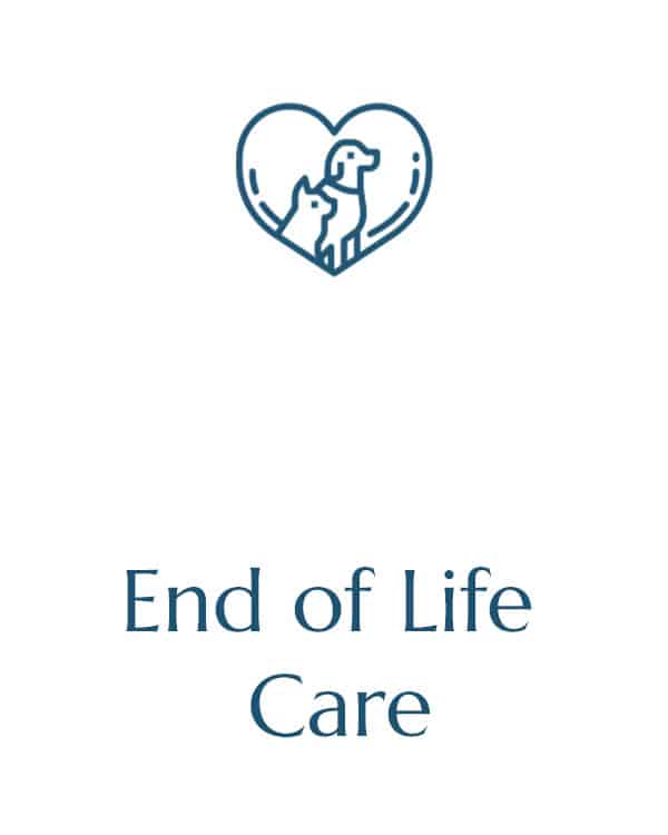 A simple line illustration depicts a dog and a cat within a heart outline, symbolizing compassion and love. Below the illustration, text reads "End of Life Care" in a calm, blue font. The design conveys the comfort and support that vets provide for pets at the end of their lives.