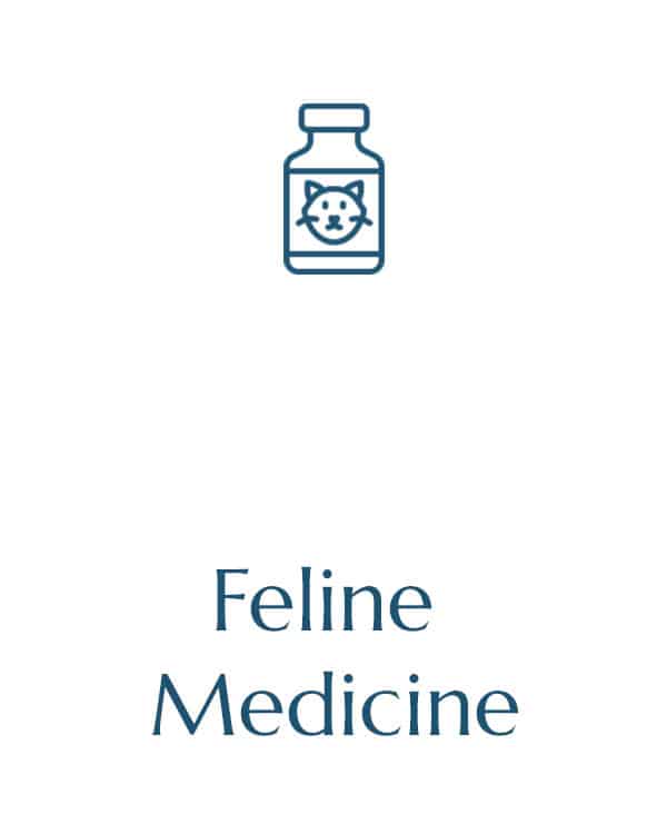 A minimalist graphic featuring a simple outline of a medicine bottle with a cat face on it, positioned above the text "Feline Medicine" in a clean, modern font—perfect for any veterinarian's office.