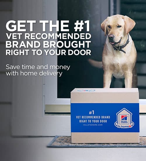 A happy dog stands at a glass door behind a large delivery box. The text reads, "Get the #1 veterinarian recommended brand brought right to your door. Save time and money with home delivery." The box has Hills to Home branding and a slogan on it.