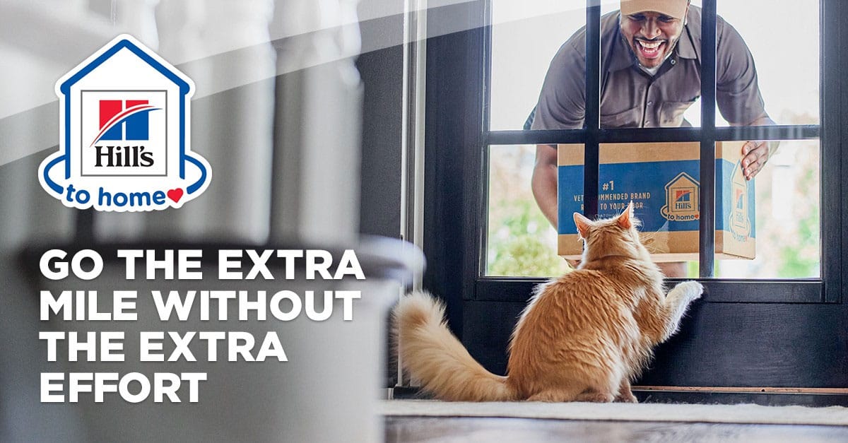 A delivery person is seen through a glass door smiling and delivering a Hill's to Home package. Inside, a fluffy orange cat stands on its hind legs, excitedly reaching towards the package. The text reads, "Go the extra mile without the extra effort—Vet recommended for your pet's happiness.