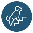 White outline of a dog climbing stairs inside a blue circle.