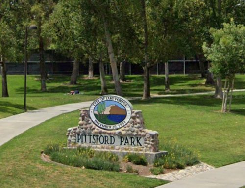 Pittsford Park, Lake Forest