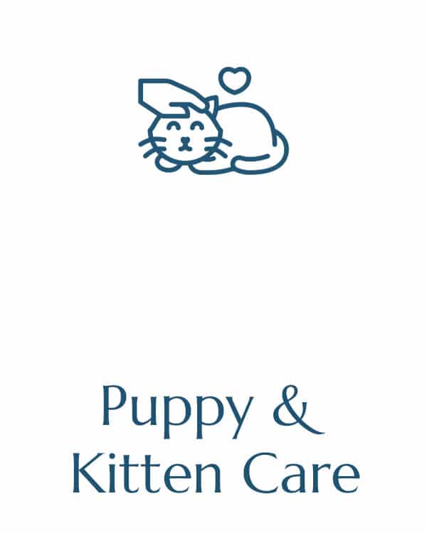 pet hospital vet clinic veterinarian near me veterinary vet near me animal hospital