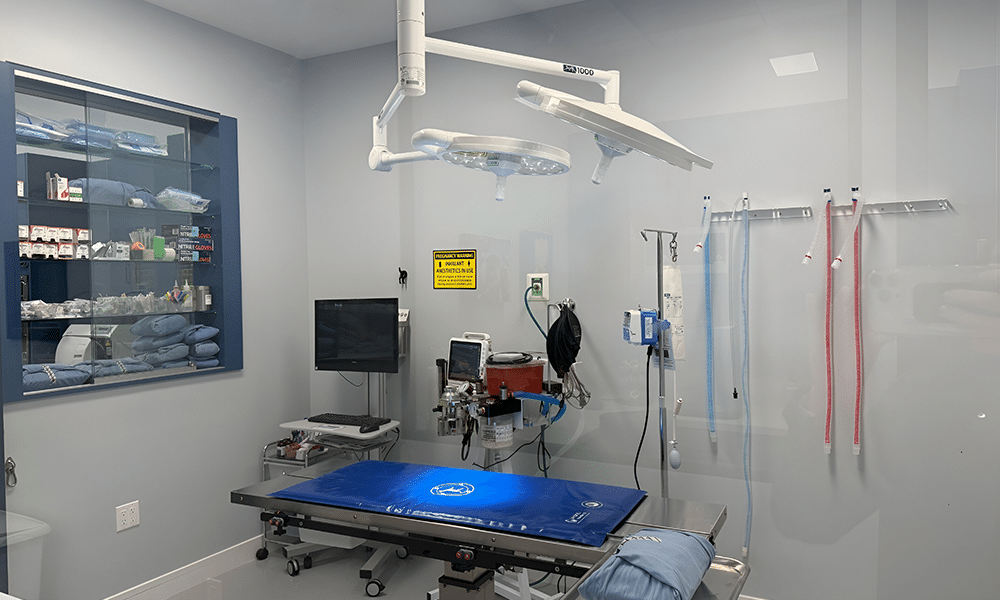 A sterile veterinary surgery room with an operating table, overhead surgical lights, and medical equipment. Shelves with supplies are visible through a glass partition. Various cables and anesthesia machines are placed nearby.