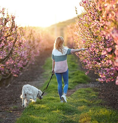 vet veterinarian near Stonegate Irvine, CA veterinary near me pet hospital vet clinic animal hospital