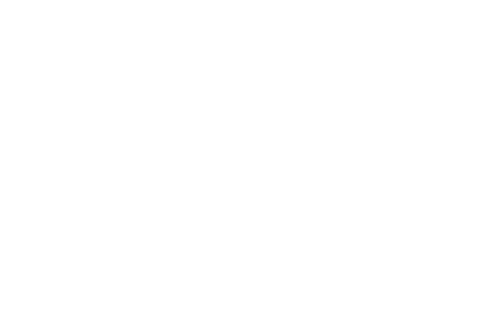 A blank, white square with no visible content, reminiscent of a sterile vet's examination table.