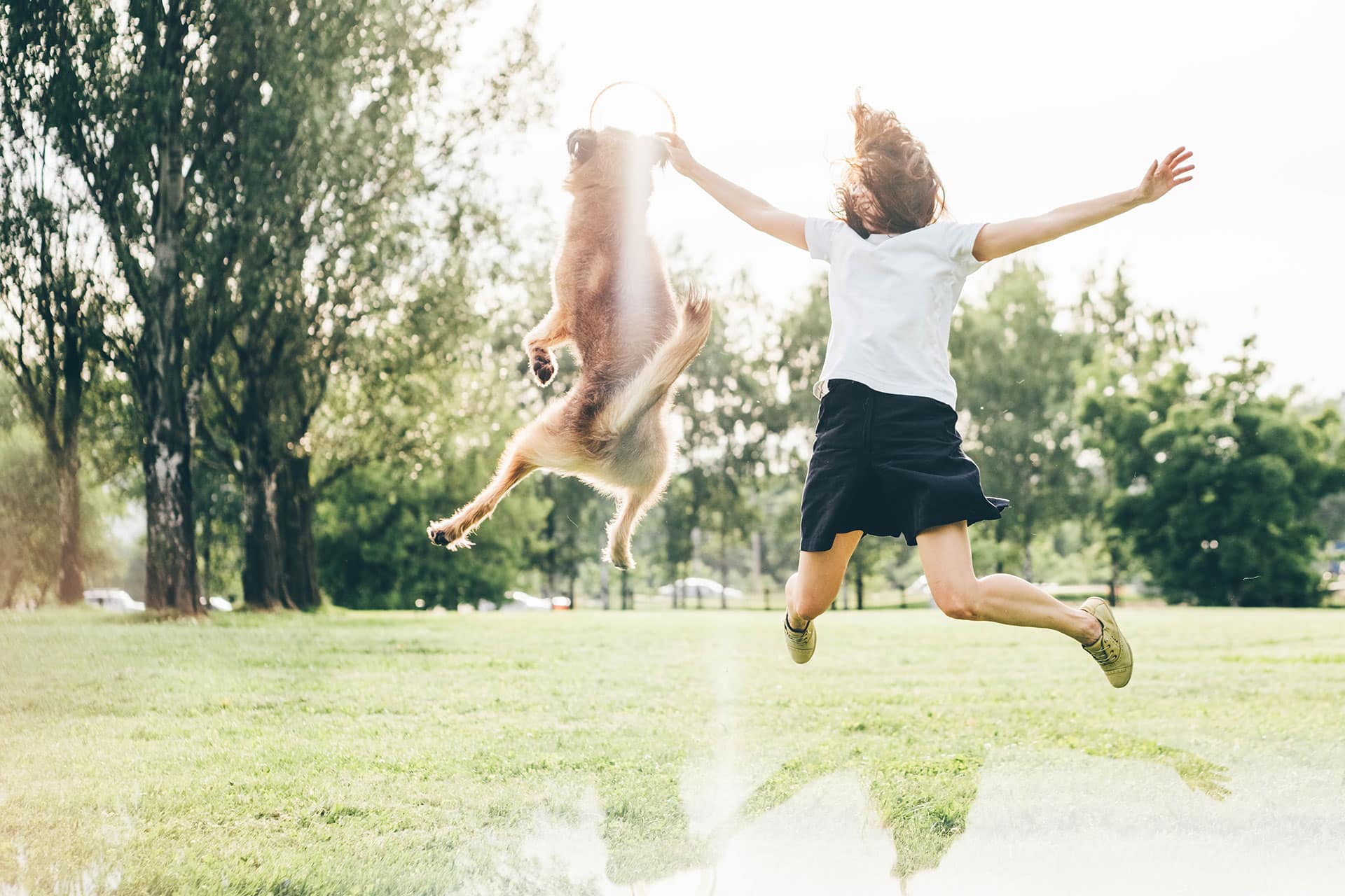 A person in a white shirt and dark skirt jumps in a grassy park, holding up a toy as a dog leaps high beside them. Trees and sunlight are in the background.