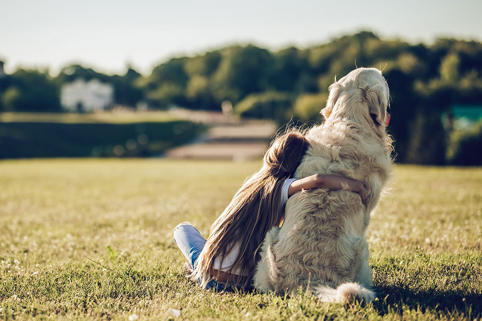 end of life pet care end of life care for pets pet end of life care pet euthanasia pet euthanasia at home home pet euthanasia pet euthanasia and cremation