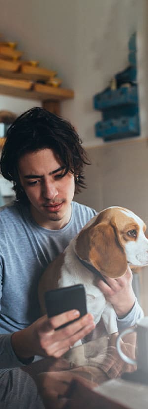 health certificate for pet travel pet health certificate for international travel pet health certificate for domestic travel