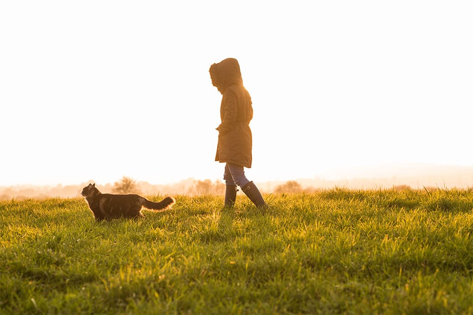 A veterinarian in a hooded coat and boots walks through a grassy field at sunset, with a cat playfully running ahead. The sky is glowing with warm hues, creating a serene and peaceful atmosphere.