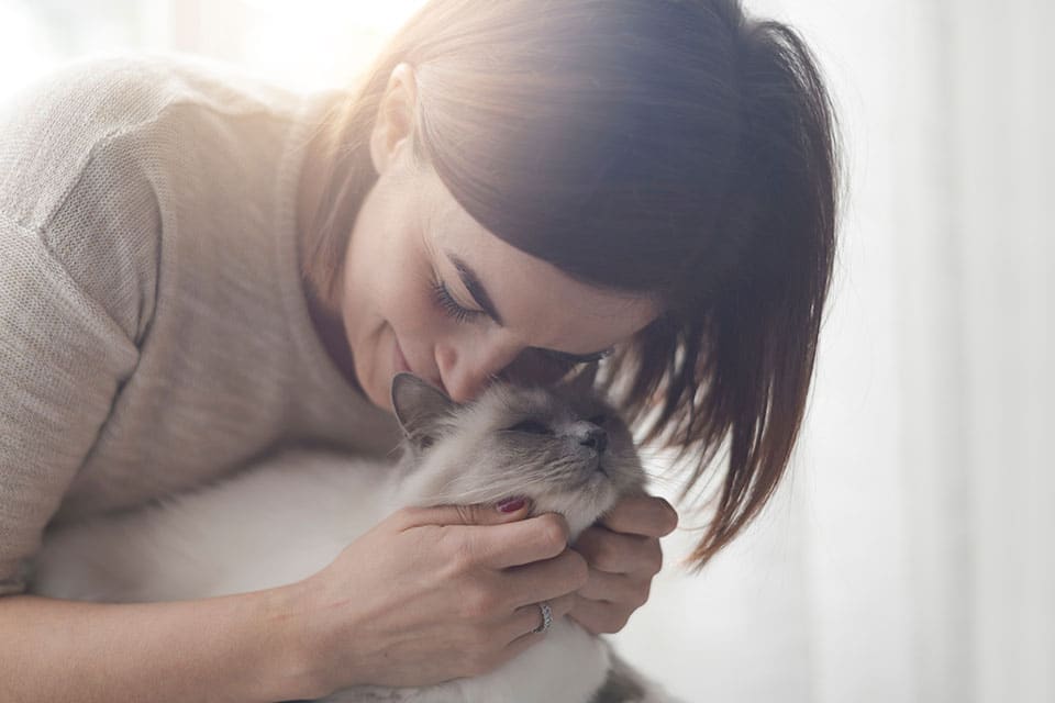 Pet microchipping pet microchipping services pet microchip services dog microchipping