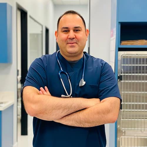 dr sam amirshahi vet dr sam veterinarian bliss animal hospital vet near me