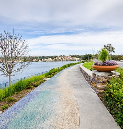 pet hospital vet clinic veterinarian near me veterinary vet near me animal hospital