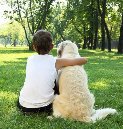 veterinarian in Lake forest CA vet near me pet hospital vet clinic animal hospital veterinary