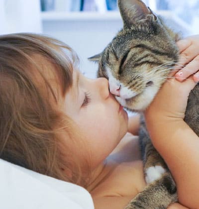 veterinarian near Great Park Irvine, CA veterinary near me pet hospital vet clinic animal hospital