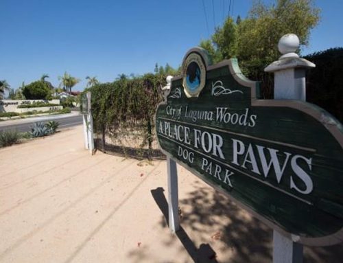 A Place for Paws Park, Laguna Woods