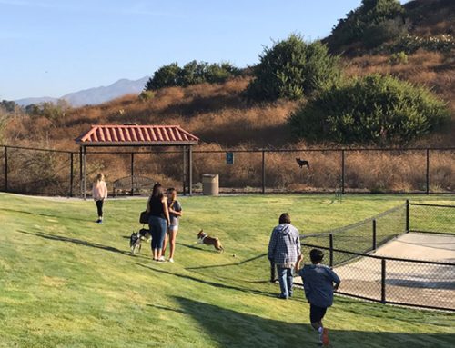 Canada Vista Dog Park, Rancho Santa Margarita