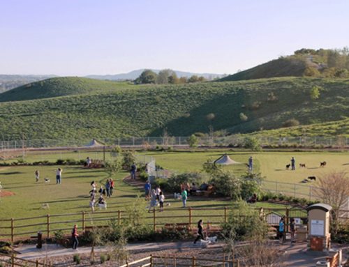 La Paws Dog Park, Mission Viejo