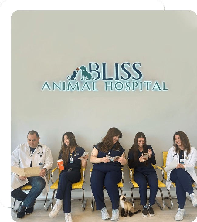 Grand opening RSVP Bliss Animal Hospital south orange county California lake forest