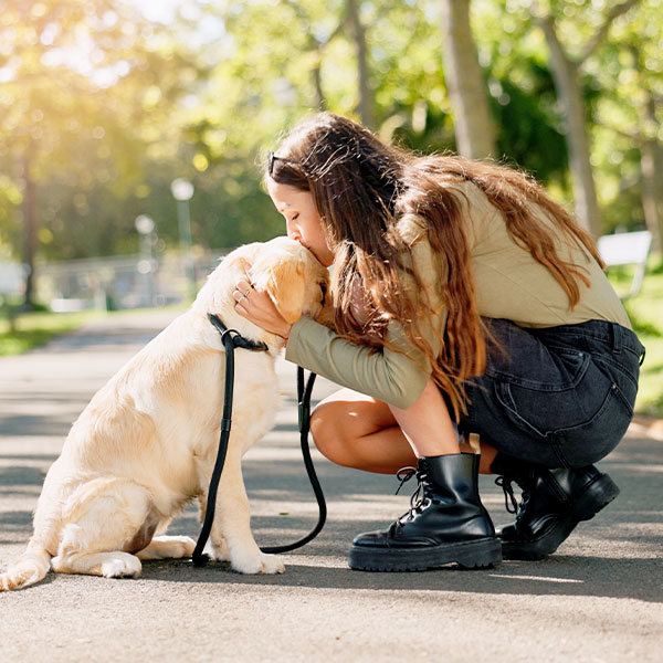 Pet euthanasia near Tustin, CA dog euthanasia cat end of life pet cremation services Bliss animal hospital