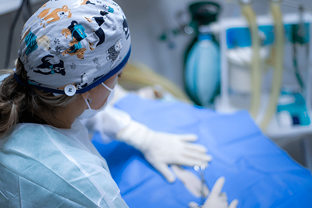 A medical professional in surgical attire, including a colorful cap with animal prints, focuses on a patient covered with a blue drape. Medical equipment is visible in the background, indicating an operating room setting.