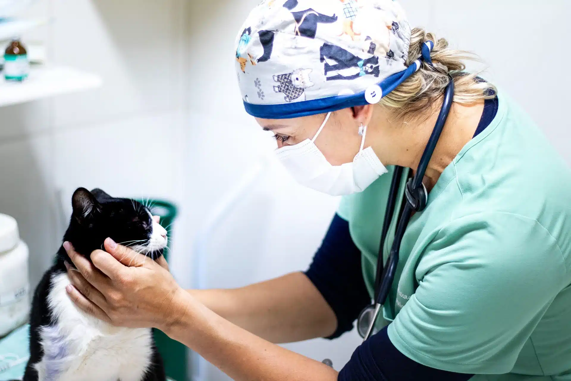 A veterinarian wearing scrubs and a patterned surgical cap gently examines a black and white cat in a clinic. The vet is masked, with a stethoscope around her neck, focused on the cat.