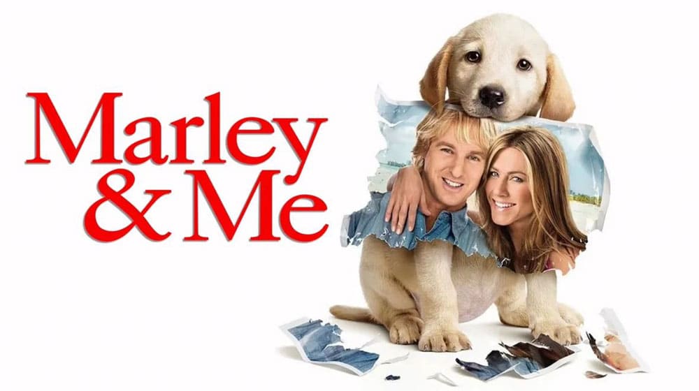 A yellow Labrador puppy sits, holding a torn photo of a smiling man and woman. The words “Marley & Me” appear in large red letters to the left of the puppy.