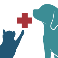 Top Rated Veterinarian in Lake Forest, CA | Bliss Animal Hospital