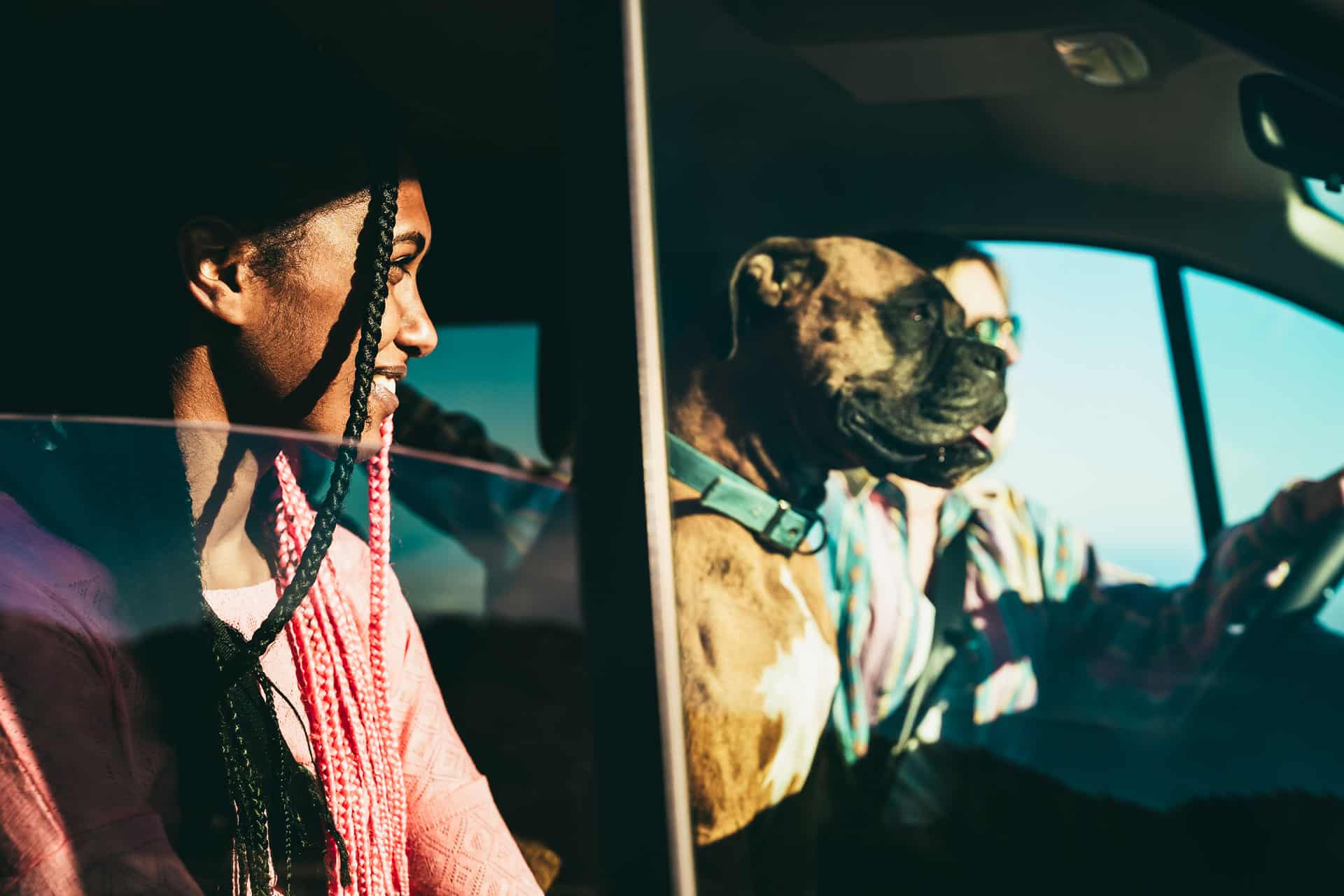 A person with braided hair smiles while sitting in a car next to a large dog and another person driving. Sunlight streams through the window, creating a warm and vibrant atmosphere.