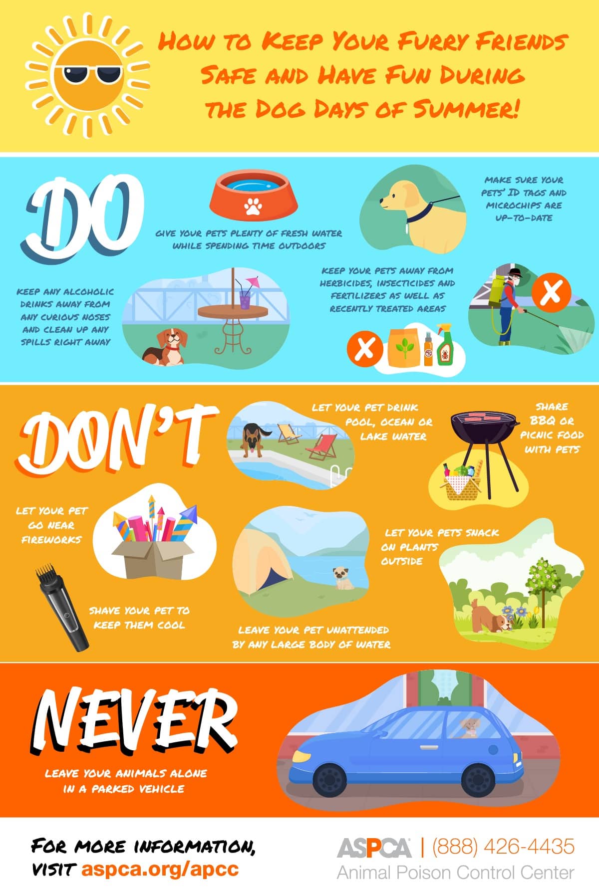 Colorful infographic titled 'How to Keep Your Furry Friends Safe and Have Fun During the Dog Days of Summer' featuring pet safety tips. The top section lists 'Do' actions like providing fresh water, keeping ID tags updated, and avoiding lawn chemicals. The middle 'Don't' section warns against shaving pets, letting them near fireworks, sharing picnic food, or leaving them unattended near water. The bottom highlights 'Never leave your animals alone in a parked vehicle.