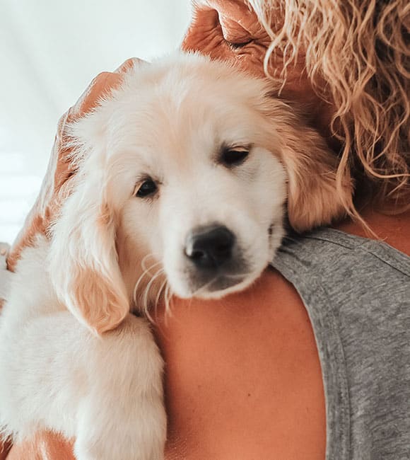 A person with curly hair hugs a fluffy, light-colored puppy, who rests its head on their shoulder and looks content. The image conveys warmth and affection—perfect for an affordable vet clinic’s welcoming atmosphere.