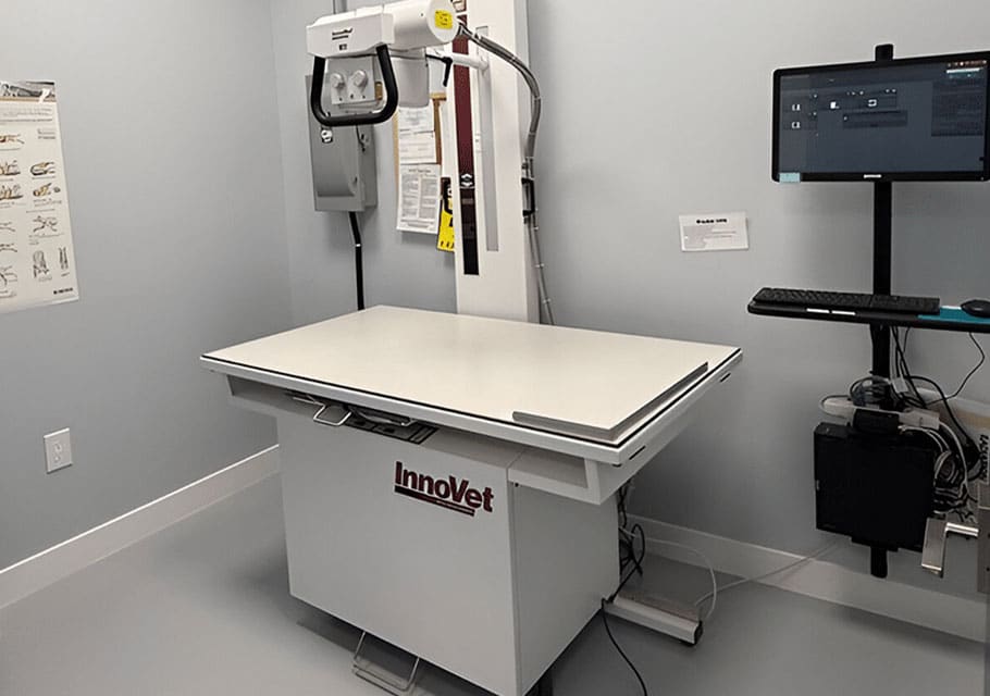 A veterinary X-ray machine labeled "InnoVet" stands in a clean exam room with a computer workstation and wall charts in the background.