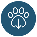 A white outline of a paw print with a downward-pointing arrow in the center, set against a dark blue circular background.
