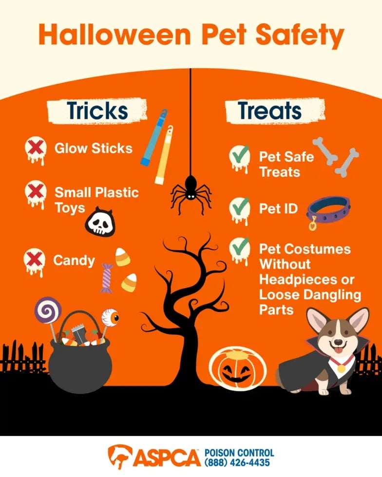 Infographic titled “Halloween Pet Safety” divided into two sections: “Tricks” and “Treats.” The left side lists dangerous items for pets, including glow sticks, small plastic toys, and candy, marked with red Xs. The right side shows safe options like pet-safe treats, proper pet ID tags, and comfortable costumes without loose or restrictive parts, marked with green checkmarks. A cute dog in a vampire costume and Halloween icons (spider, pumpkin, tree) complete the design.