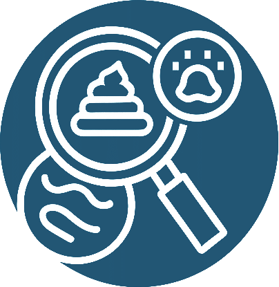 A white line drawing on a blue circle shows a magnifying glass over a poop icon, with a nose and odor lines, representing smelling or analyzing feces.