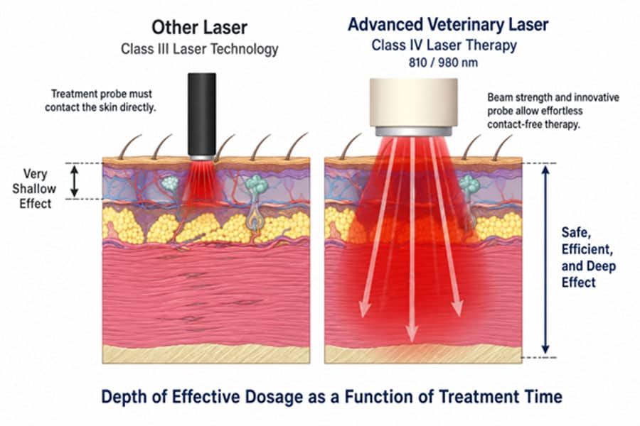 Comparison diagram showing superficial Class III laser penetration versus deeper Class IV veterinary laser therapy penetration, illustrating how advanced laser therapy may deliver effective dosage deeper into tissue.